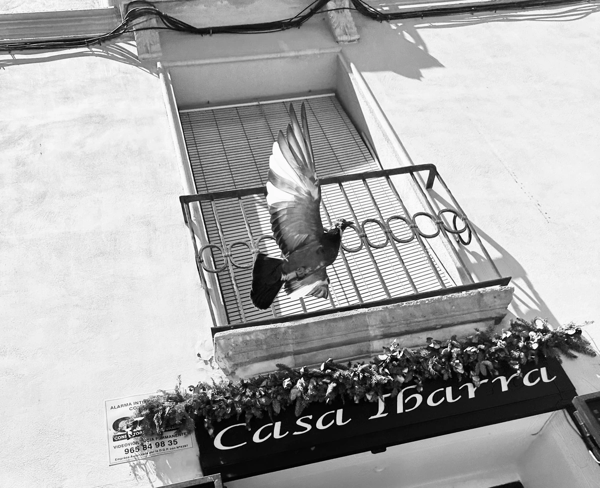 A bird flies above an ornate balcony railing