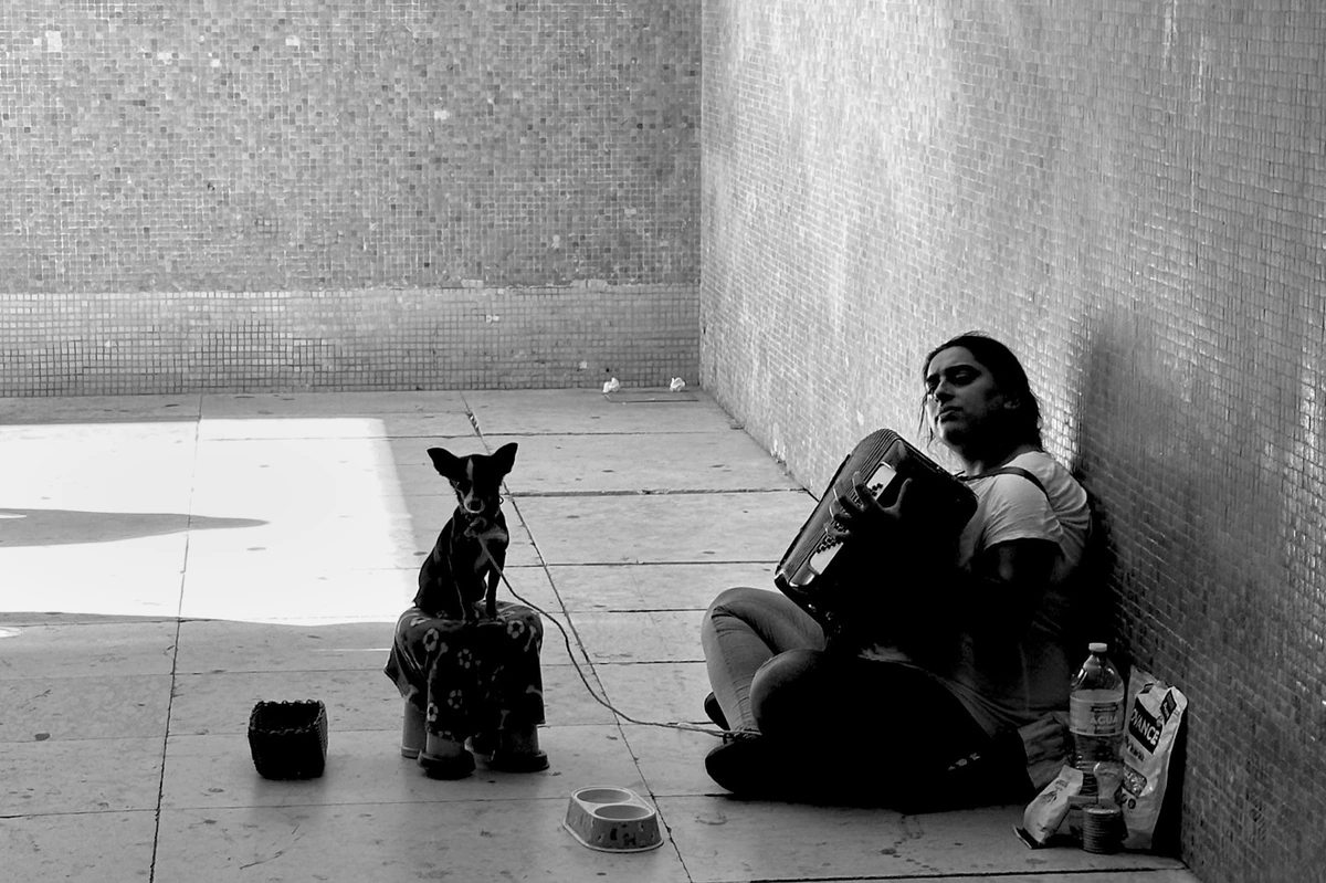 An accordion player sits in a sunlit corner with a small dog
