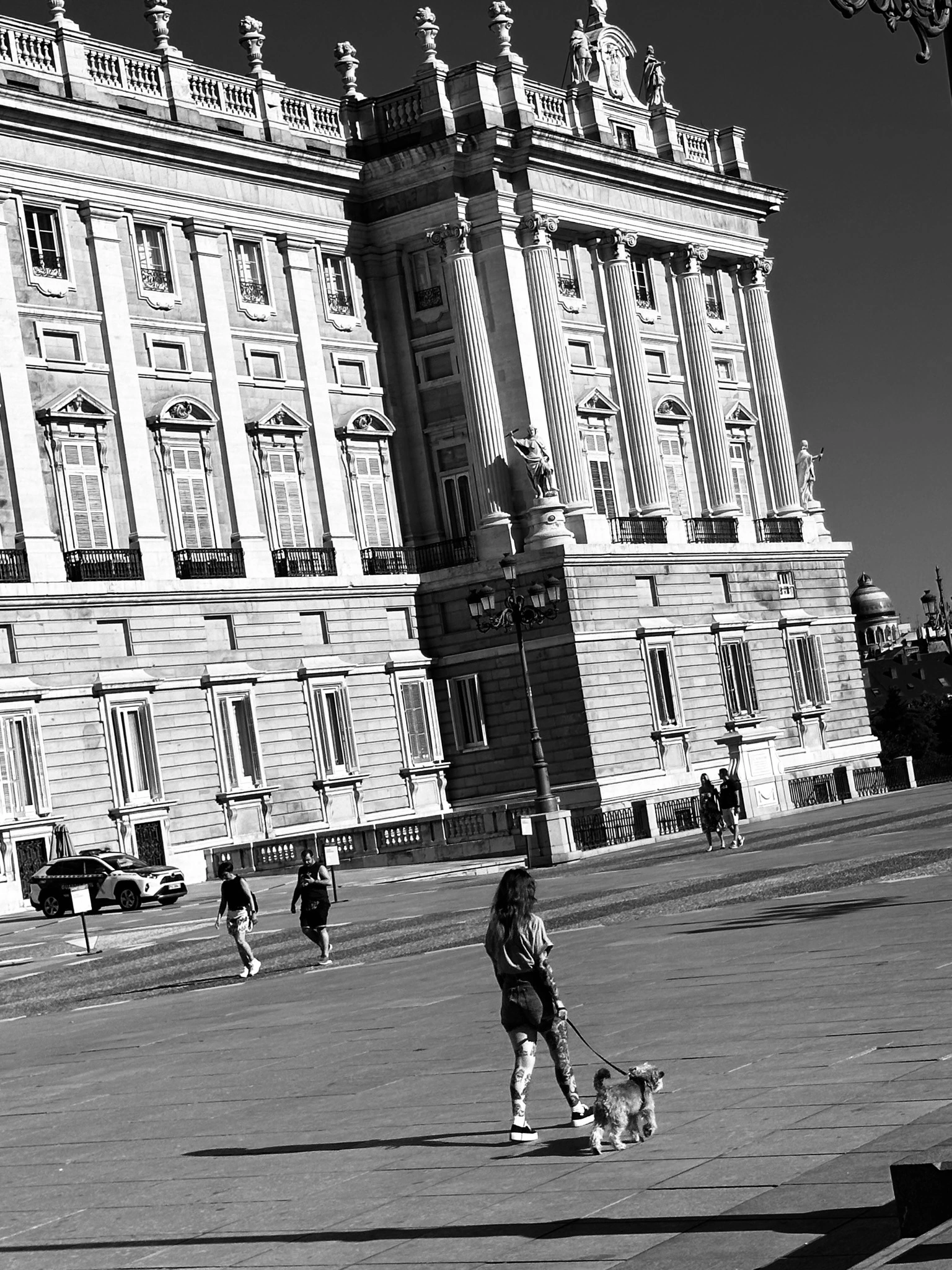 A person and a dog crossing a broad square beneath a grand façade